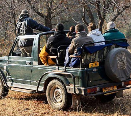 Corbett Jeep Safari