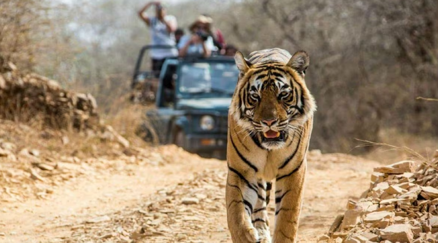 Corbett-Nainital-Tour
