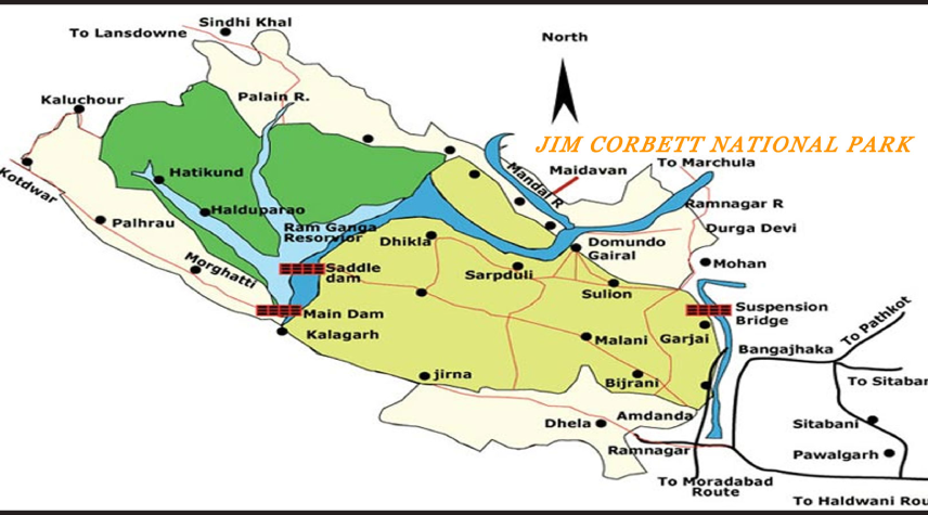 How to Reach Jim Corbett National Park